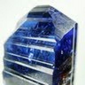 Meet your Posher, Will